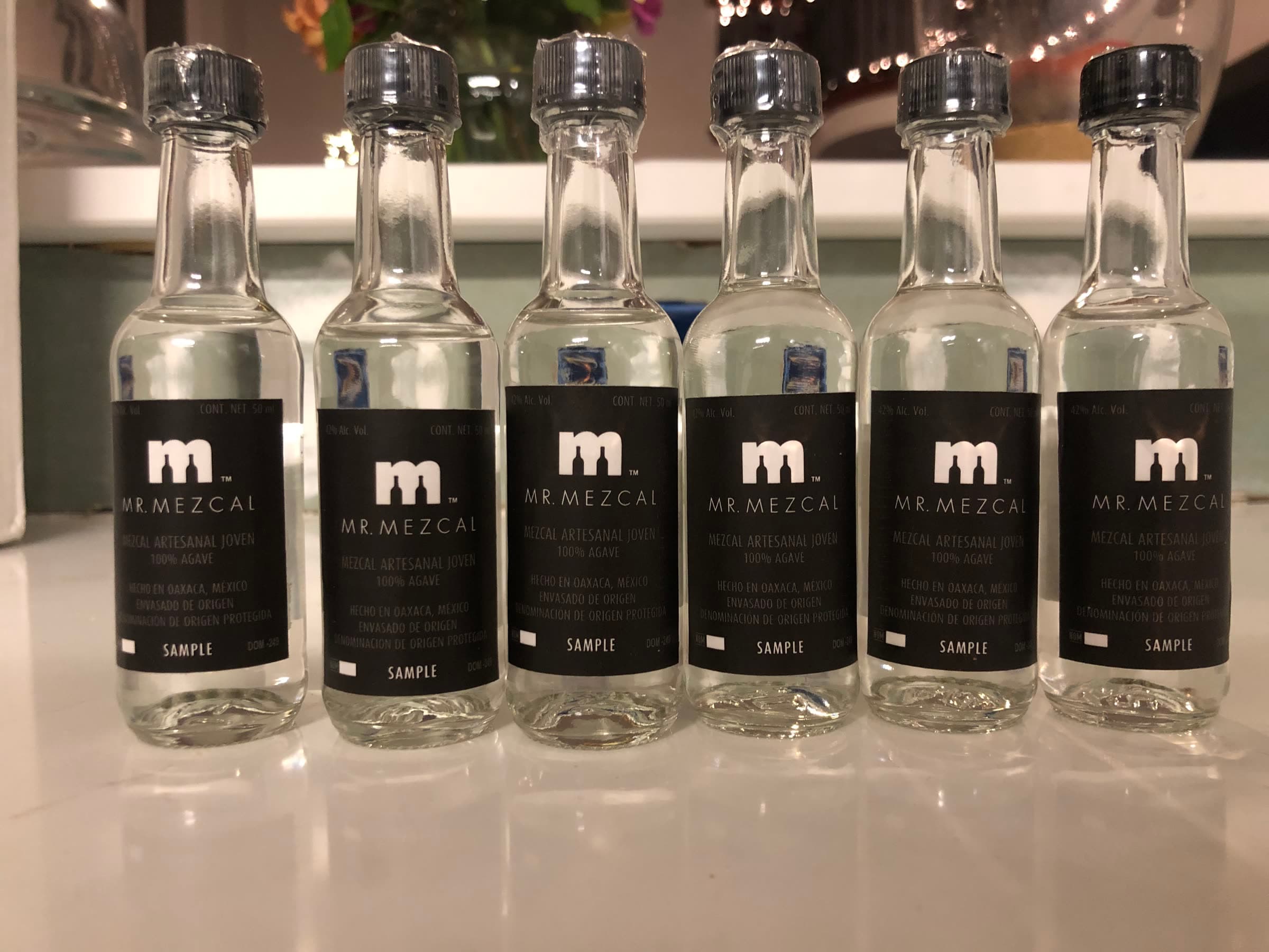 Tasting our mezcales — Mr. Mezcal, Oaxaca